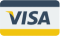 VISA Logo